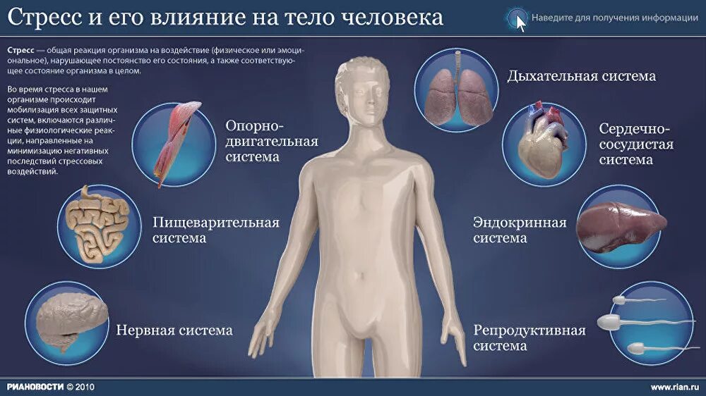 Реакций организма на влияние. Влияние стресса на организм. Стресс и его влияние на человека. Влияние стресса на здоровье. Влияние стресса на человека.