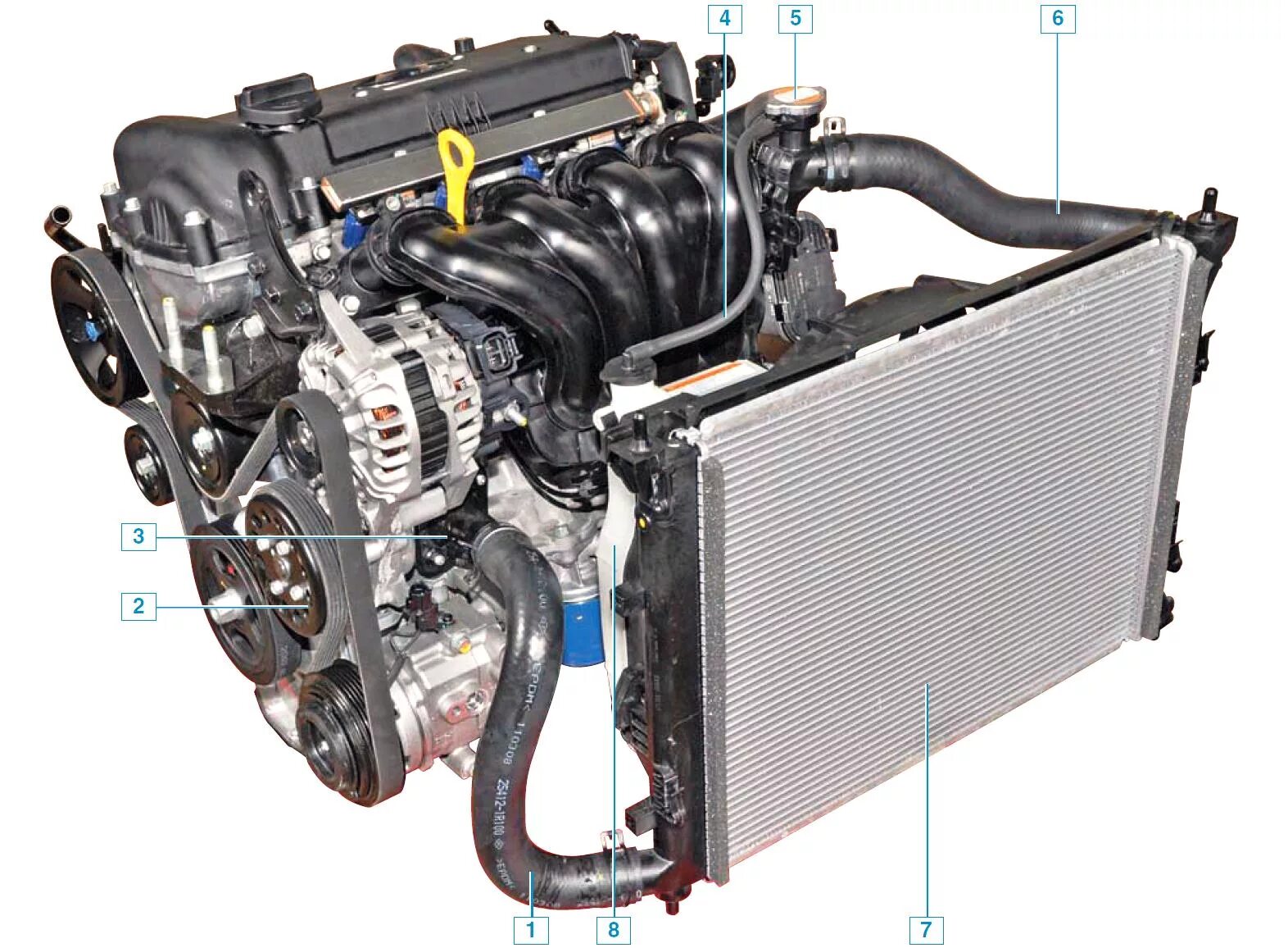 Охлаждения хендай солярис. Система охлаждения Kia Rio 1. Система охлаждения Солярис 1.6. Система охлаждения Kia Rio 3. Система охлаждения кия Рио 3.