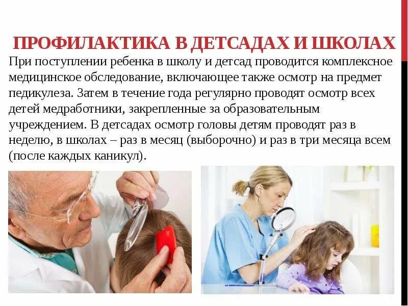 Осмотр детей на педикулез. Обследование больного на педикулез. Алгоритм осмотра детей на педикулез в детском саду. Осмотры детей на педикулез проводятся в лагере