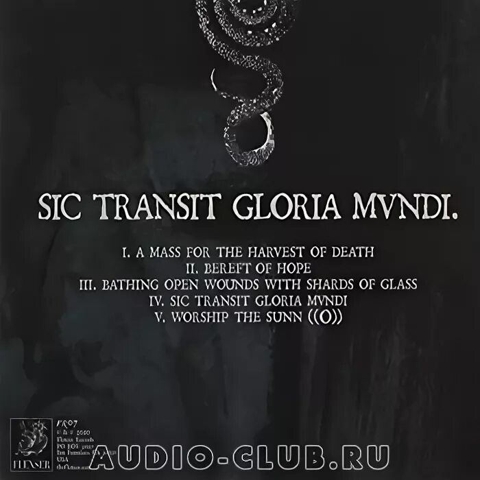 латинские афоризмы. формула любви фразы на латыни. Sic transit перевод с латинского. Sic transit перевод с латинского. Sic transit gloria mundi.