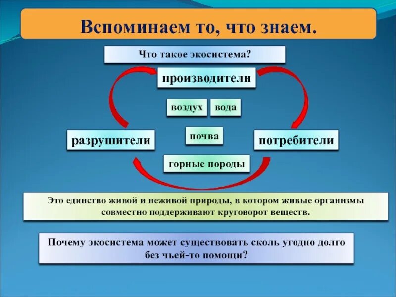 Кто такие производители. Круговорот веществ производители потребители Разрушители. Что такое нэко система. Что такле экосисистема. Экосистема производители потребители Разрушители.