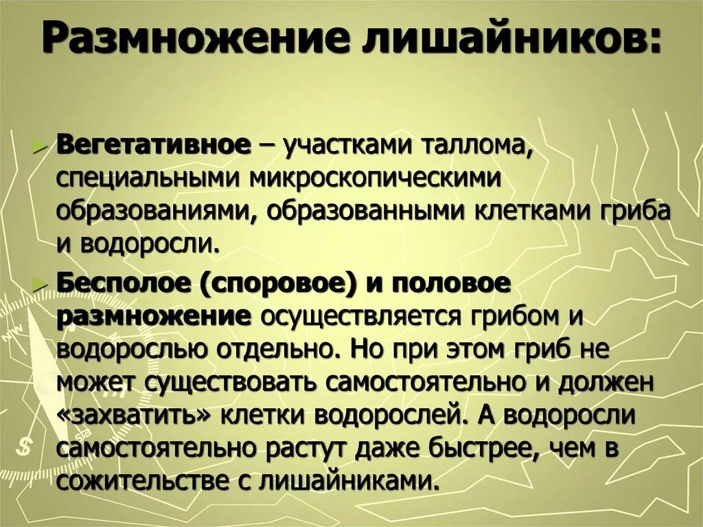 2 лишайники размножаются. Размножение лишайн Ков. Размножение лишайников. Лишайн ки размножаются. Типы размножения лишайников.