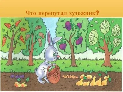Но я перепутал все дни