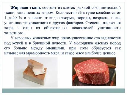 Какие виды ткани входят в состав мяса