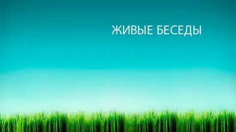 Лучшие бесплатные фоны