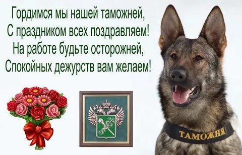 Поздравление таможеннику