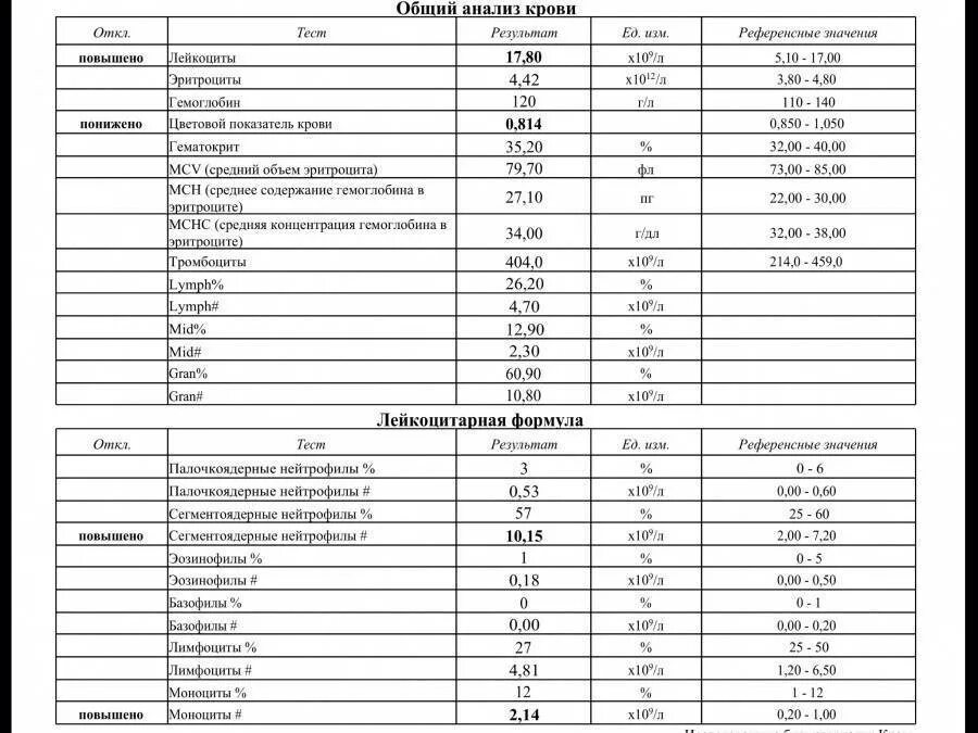 Кровь сегментоядерные повышены у ребенка. Общий анализ крови нейтрофилы сегментоядерные-норма. Общий анализ крови нейтрофилы палочкоядерные норма. Анализ крови расшифровка сегментоядерные нейтрофилы норма. Нейтрофилы в анализе крови у ребенка расшифровка.