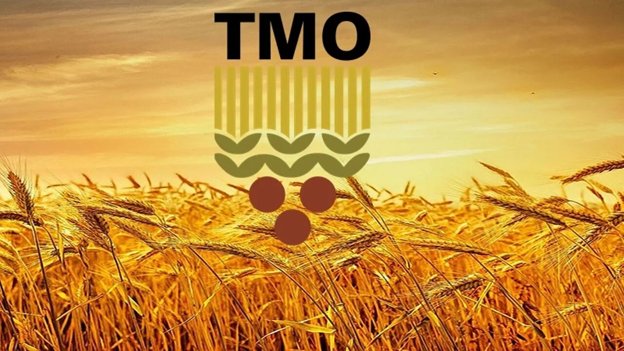 T me holding tmo. TMO. TMO logo. TMO Turkey. Турция пшеница.