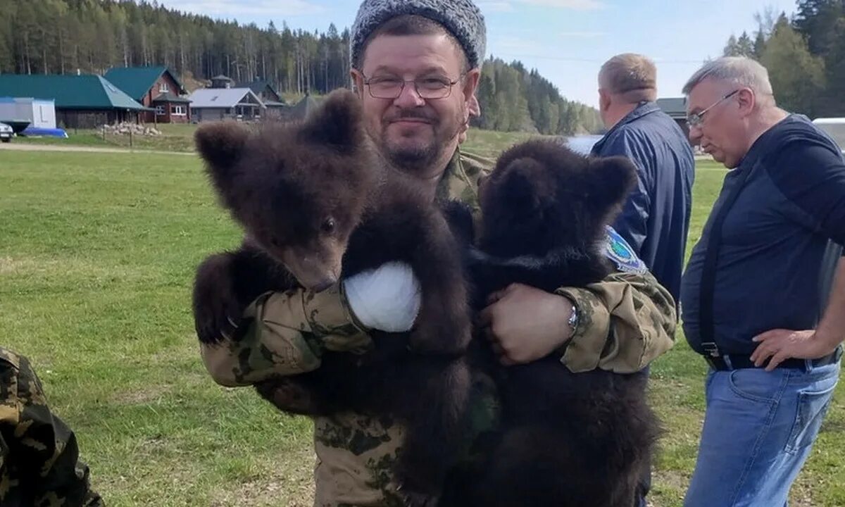 Медведь и собака. Медведь в Карелии. Панорамы медведь. Карелия люди.