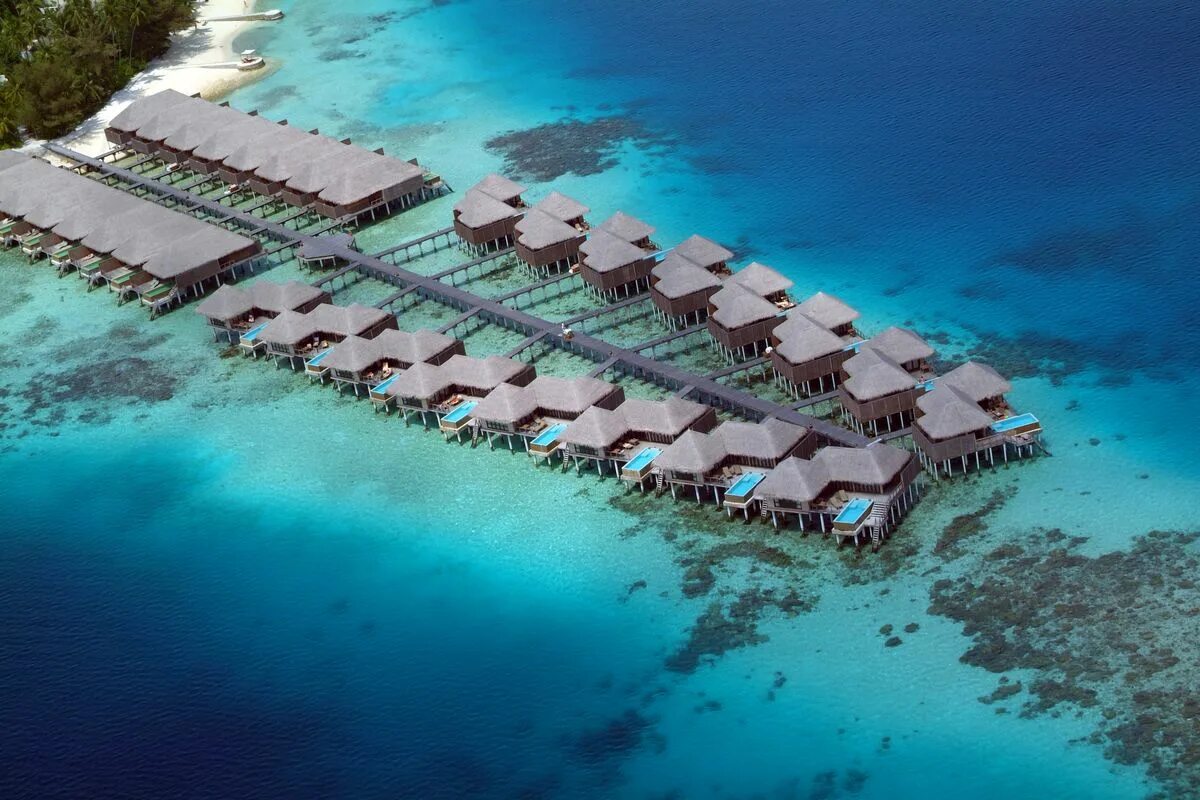 Coco мальдивы. Coco palm bodu hithi 5*. кокогири исланд резорт мальдивы. coco bodu hithi maldives. коко вилла мальдивы.