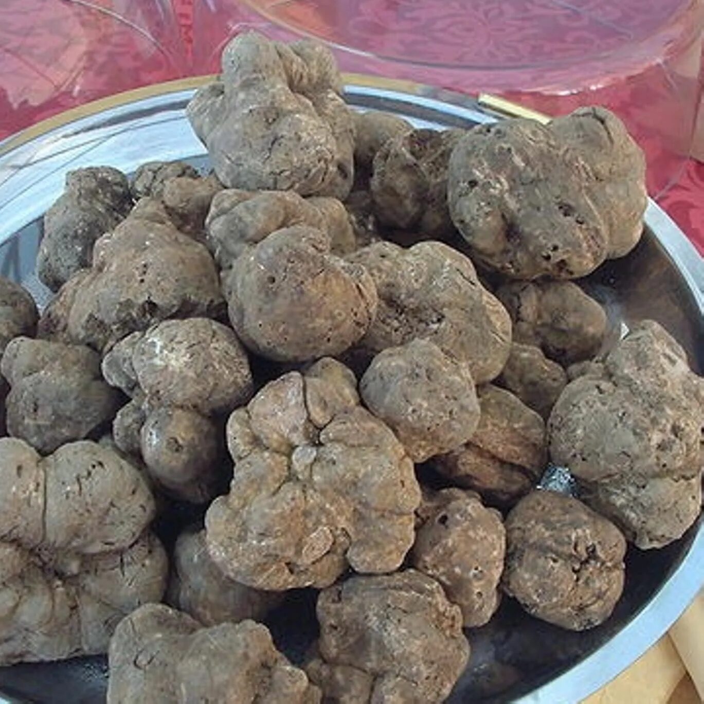 Французский трюфель гриб. Трюфли у пушкина. Грибы тартуфи. Трюфели роскошь юных лет. И трюфли роскошь юных лет французской кухни лучший цвет.