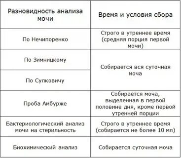 Анализ мочи сроки выполнения