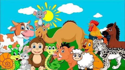 Егер сіз анальды секс пен оральды секс қаласаңыз секс