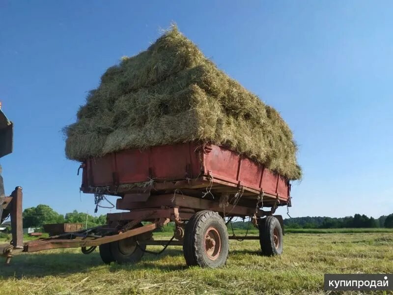 Сено новгород. Тюк 20 кг. 1 Тюк сена. Сено - Владимирская область.. Сено в тюках в Валуйках по 20кг..