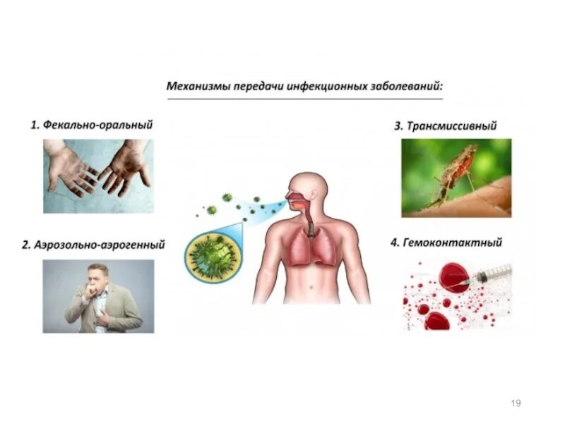 Основные источники и пути передачи. Пути передачи вирусных инфекций микробиология. Основные пути заражения инфекционными болезнями. Механизмы передачи возбудителей инфекции микробиология. Механизм передачи вируса схема.