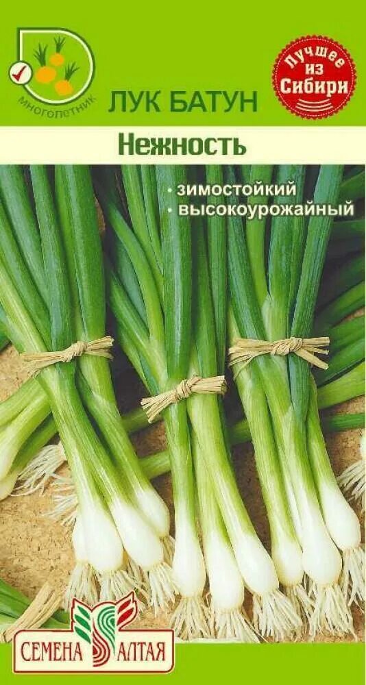 Многолетний лук на зелень сорта и описание. Лук батун семилетка 1г. лук зеленый многолетний батун. многолетний лук на зелень батун. лук батун семена.