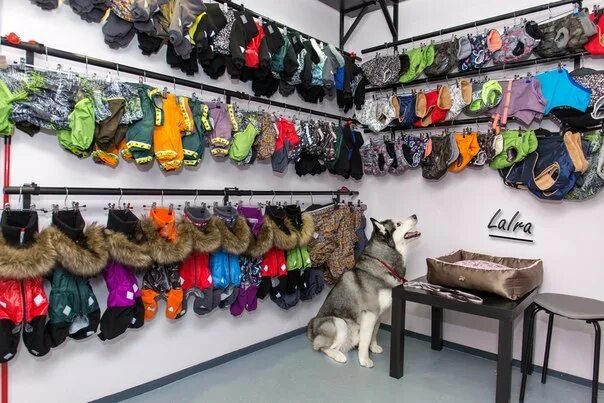 брендовая одежда для собак. элитная одежда для собак маленьких пород. выкладка одежды для собак. магазин одежды для животных. одежда для собак мелких пород.