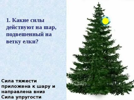 Сколько идут елки 10 время