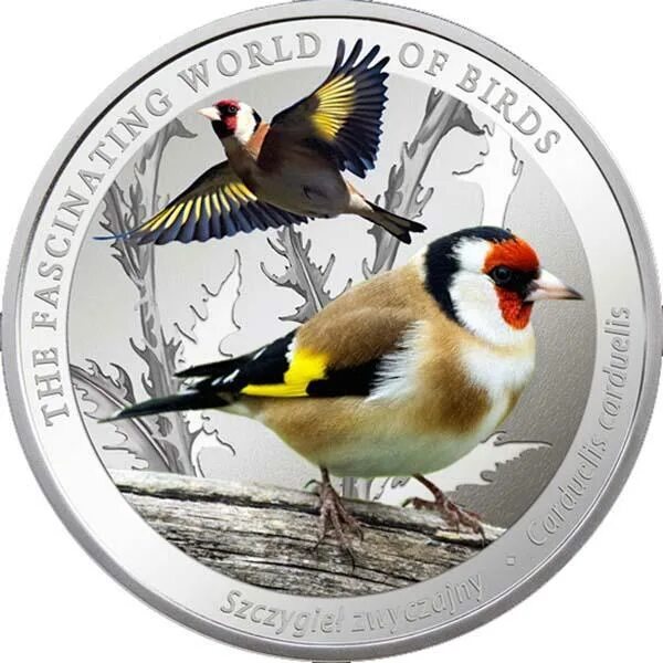 Монета с птичкой. Коллекция монет птицы. Монета птица года. Монета серебро птицы. Birds монеты