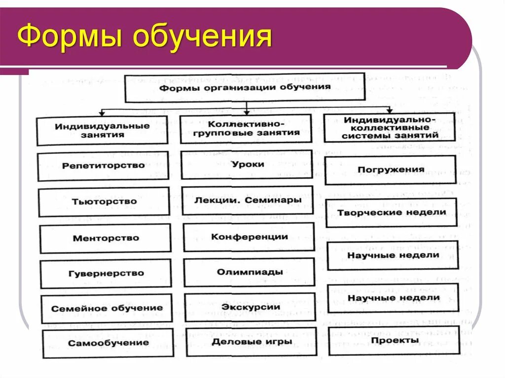 Назови формы обучения