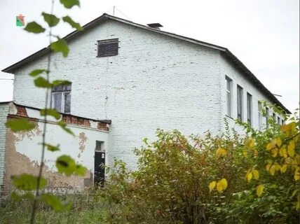 Березник вологодской