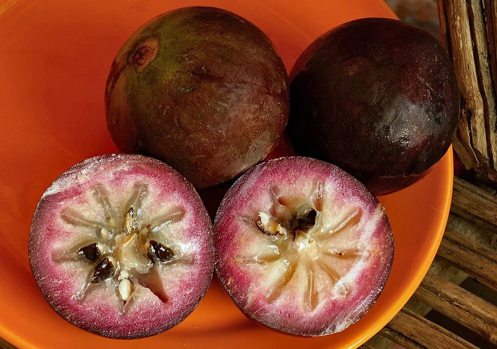 каймито фрукт. каймито фрукт. хризофиллум звездное яблоко. звёздное яблоко (каймито). хризофиллум звездное яблоко.