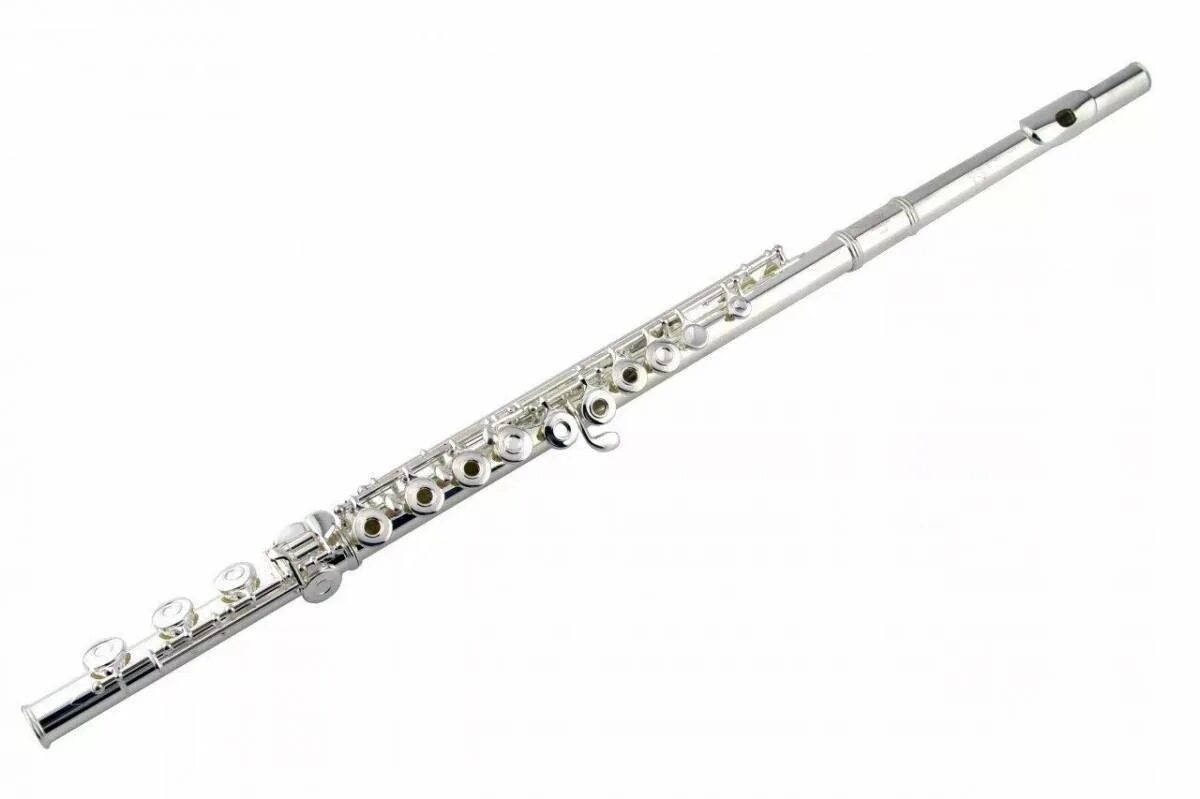 Flute. Флейта музыкальный инструмент симфонического оркестра. Флейта в симфоническом оркестре. Серебряная флейта. Современная поперечная флейта.
