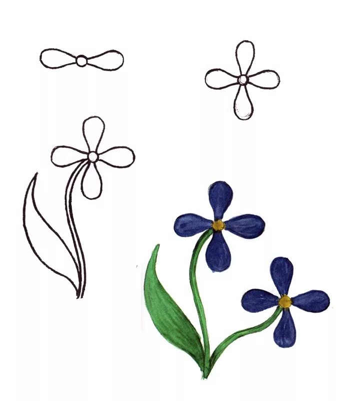 нарисованные цветы с названиями. рисование весенние цветы. рисовать цветы как называется. нарисовать клумбовые цветы. фиалка эскиз.
