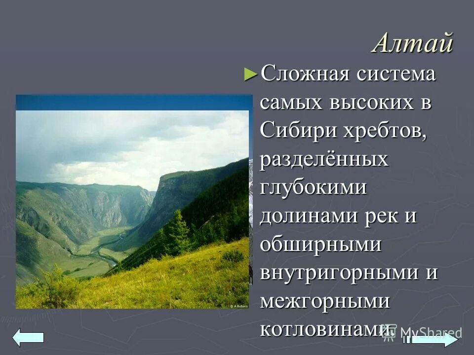 алтай дорога чуйский тракт. долина белухи алтай. межгорные долины определение. горный алтай гора белуха лето. катунский заповедник алтай.