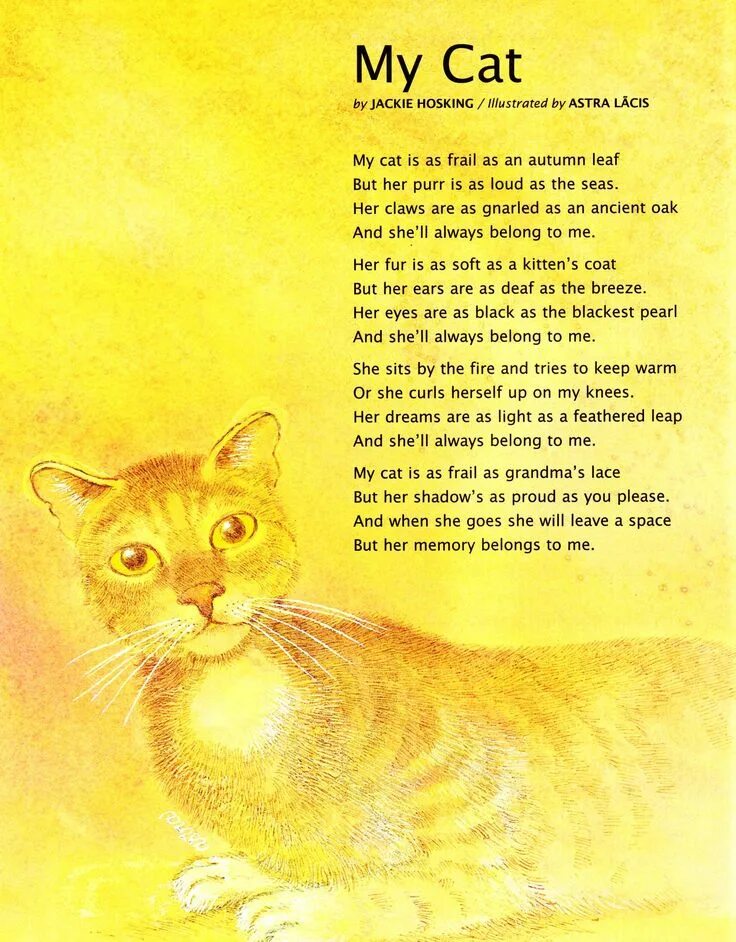 Cat for kids карточка. Моя кошка на английском языке. Моя кошка на английском языке. Доклад о кошке по английскому. My pet тема.