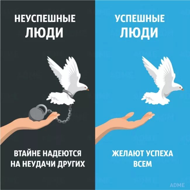 Успешные неудачники