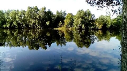 Водоем под цифрой 1