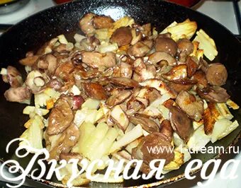 Маслята грибы жареные рецепт на сковороде