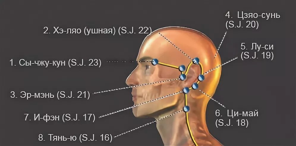 Акупунктурные точки от шума в ушах. Точки акупунктуры от звона в ушах. Акупунктурные точки при шуме в ушах. Акупунктура при шуме в ушах.