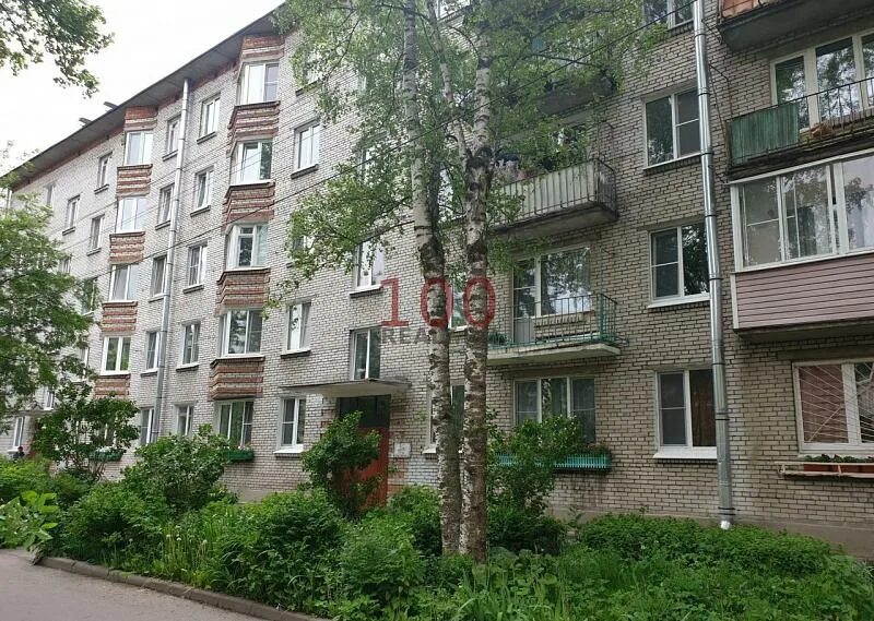 Авито петергоф. Снять квартиру в петергофе.