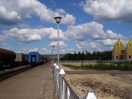 Рп томмот