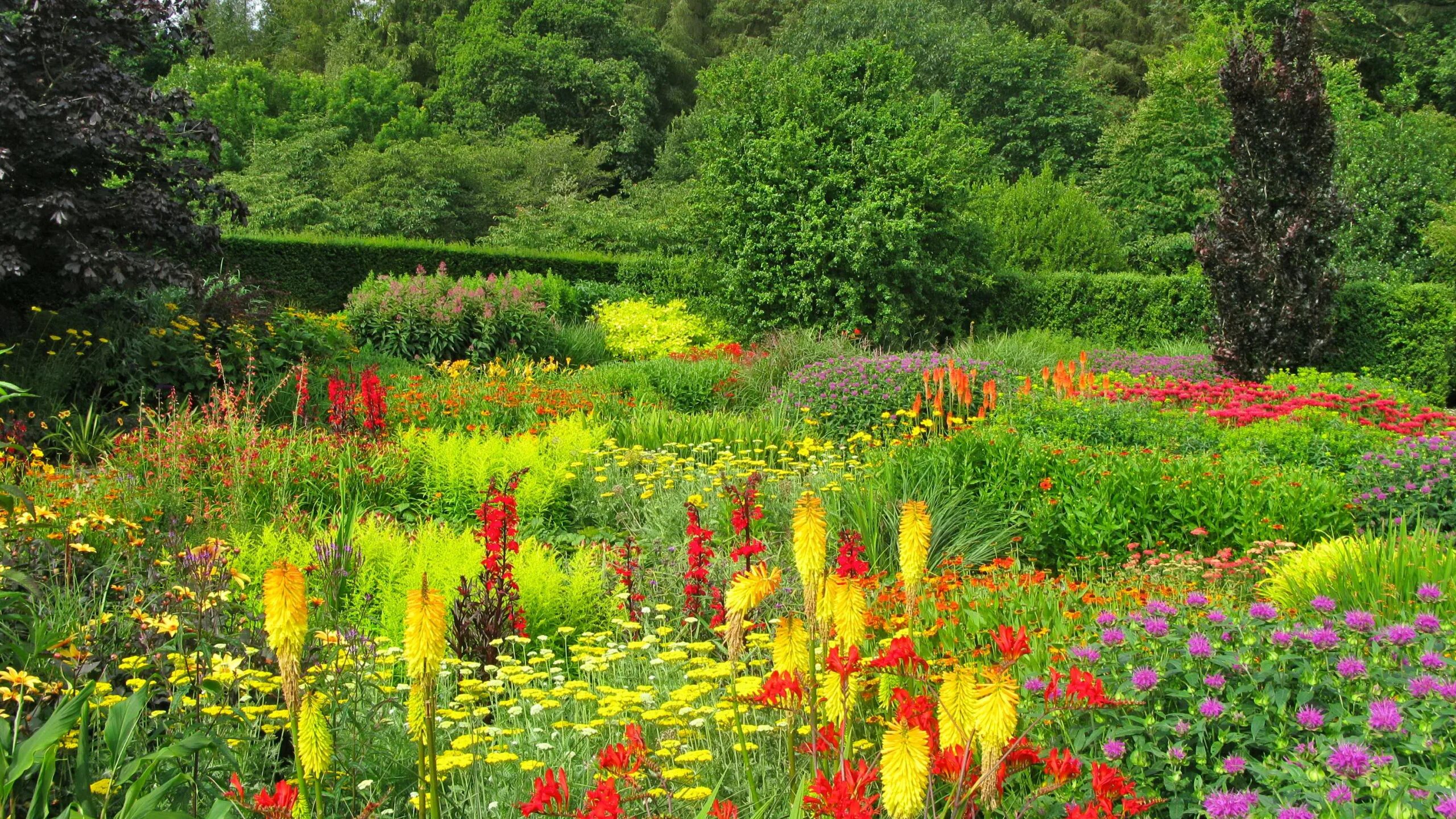 Флауэрс Гарден парк. Удивительная красота растений. Сад с цветами. Цветы летние садовые. Много цветов в природе