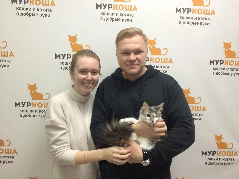 Приют Муркоша. Приют Муркоша котята. Муркоша кошки выбрать. Adoption центр для кошек Муркоша. Сайт приюта кошек муркоша