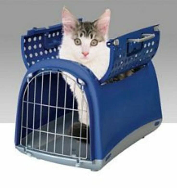 Cat Carrier. Коврик для перевозки кошек. Переноска для кошек Linus Cabrio сборка. IMAC Linus. Opening pet