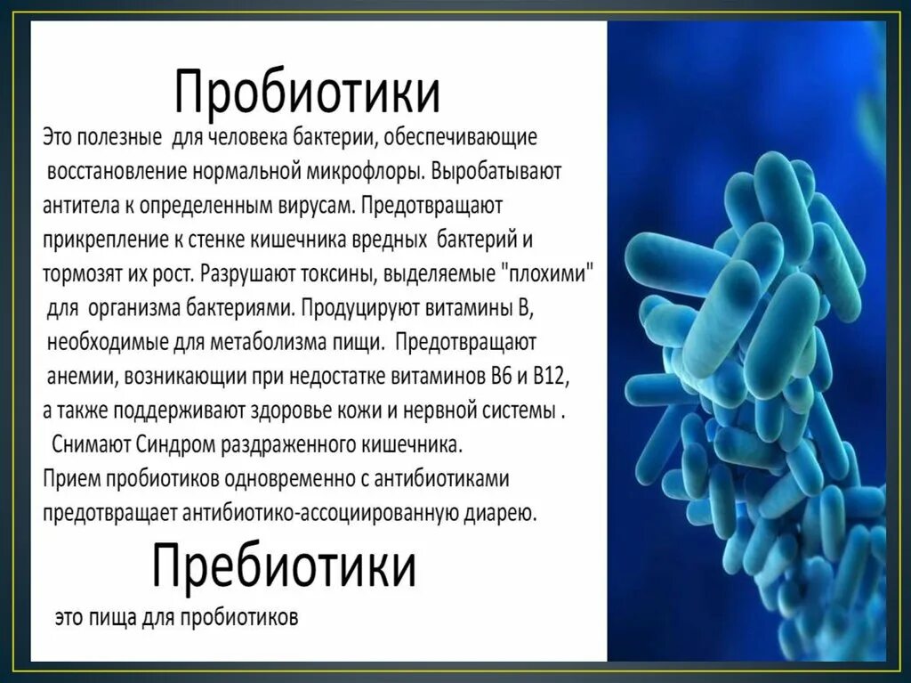 Полезные бактерии названия. Полезные бактерии для человека. Полезные бактерии для человека названия. Полезные микробы для человека. Бактерии человека название