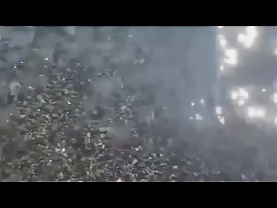 Нашествие медуз в тайланде 2024. Анапа нашествие медуз 2023. Нашествие медуз в азовском море. Нашествие медуз в анапе 2024. Медуза в анапе коричневая.