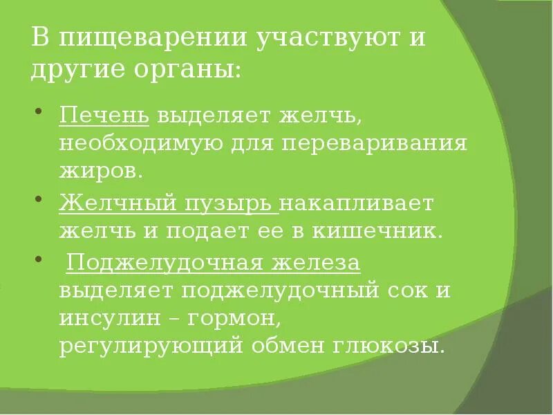 Желчь в переваривании жиров. Желчь и ее участие в пищеварении. Участие желчи в пищеварении. Желчь участвует в переваривании.