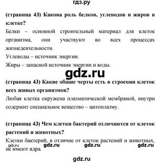 Параграф 15 биология 8 класс кратко