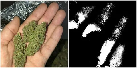 ФБР вычислили продавца наркотиков из даркнета по опечаткам пальцев с фото. 