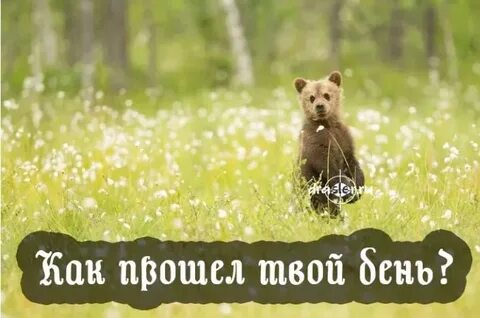 День прошел приколы