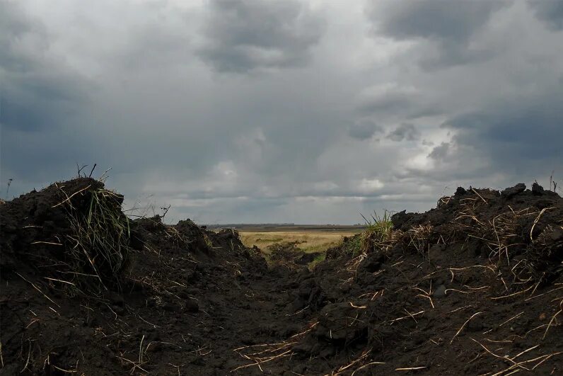Деревня борозда. Борозда знаменский район тамбовская область. деревня борозда тамбовской области. родная деревня борозда. фото деревня борозда тамбовской области.