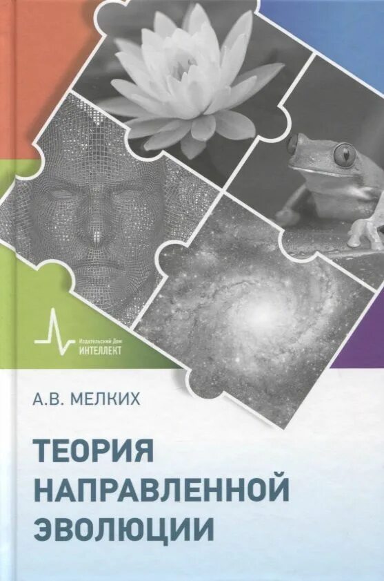 Современная синтетическая теория. Теории направленной эволюции. Теории направленной эволюции. Теории направленной эволюции. Теории направленной эволюции.