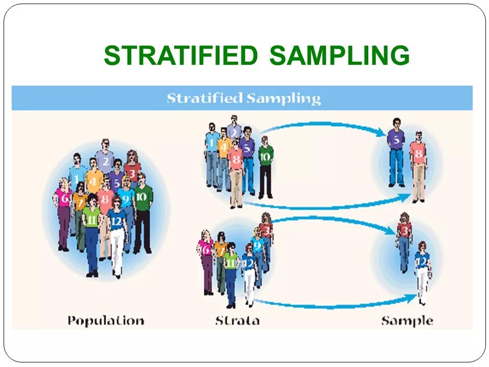 Sampling speed. Stratified sampling. stratified sample. stratified sampling example. stratified random sampling.