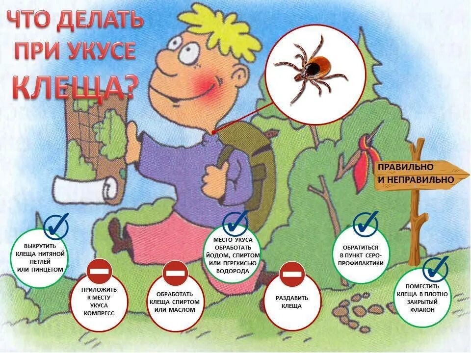 Правила поведения при укусах. Осторожно клещи плакат. Памятка о безопасности при укусе клеща. Памятка Берегись укуса клеща. Памятка при укусе клеща для детей.