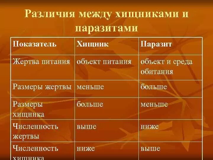 Отличие паразитов от паразитов. В чем сходство и различие хищничества и паразитизма. отличия хищников от паразитов. сходства хищничества и паразитизма. сходство и различие хищничества и паразитизма таблица.
